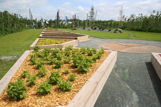 Gartenschau_2016_2 Gartenschau_2016_2