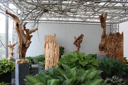 Gartenschau_2016_5 Gartenschau_2016_5