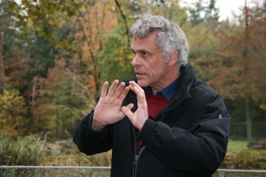 Tiergarten 4 Tiergarten 4