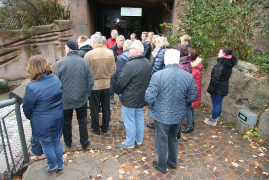 Tiergarten 6 Tiergarten 6