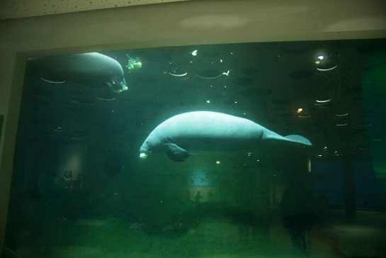 Tiergarten 7 Tiergarten 7